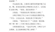 小鸭子上台阶作文300字