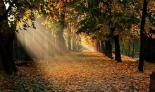 宽恕是一种大气