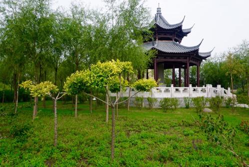 展馆景观