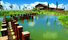 美丽的杭州湾湿地公园