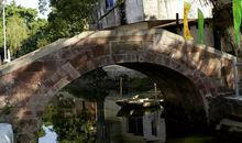 小鱼池“受宠”记