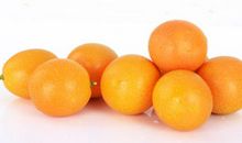 小金橘
