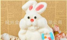 我家的兔子——“棉花糖”