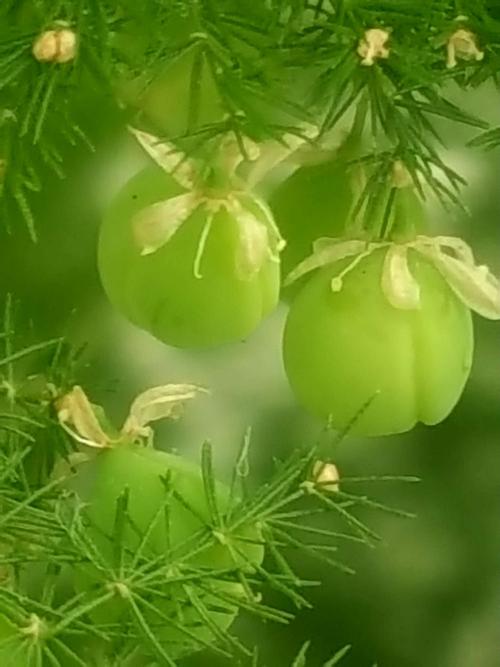 微笑滋养我的心