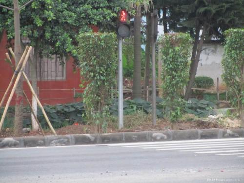 在故乡的人行道