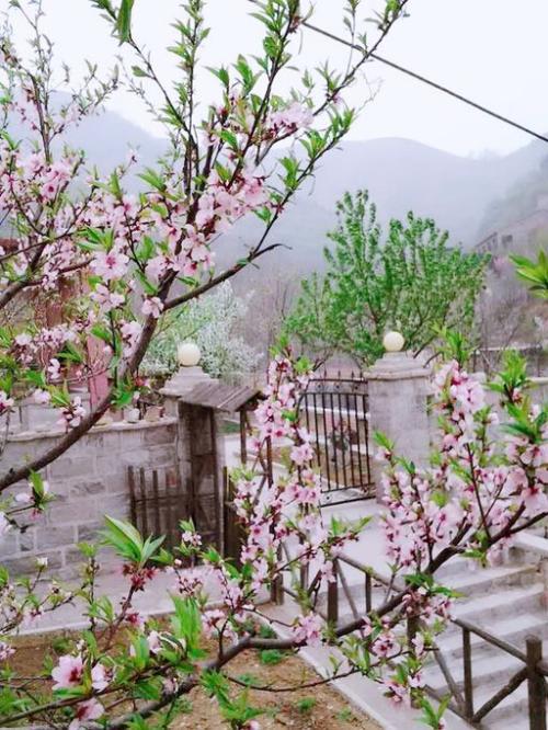 给自己留一点花香