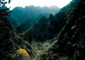 九峰山