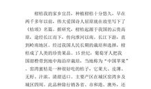 描写红掌的作文400字