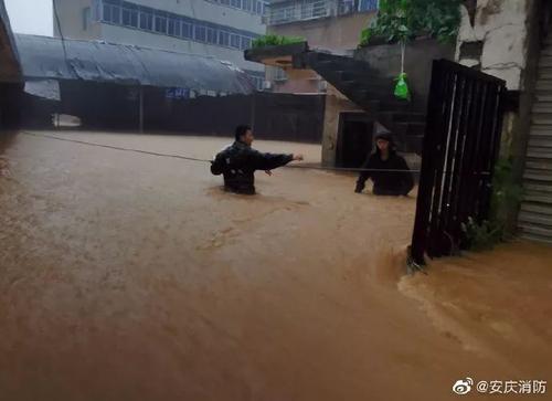 雨中最美丽的身影