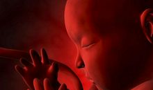 带给我知识的“母亲”