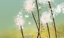 成长是一道明媚的忧伤