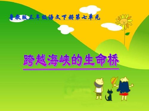 生命之桥