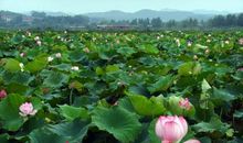 我们最美的风景