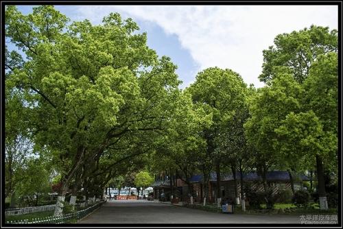 州公园