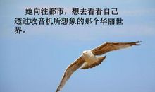 没有上锁的门读后感