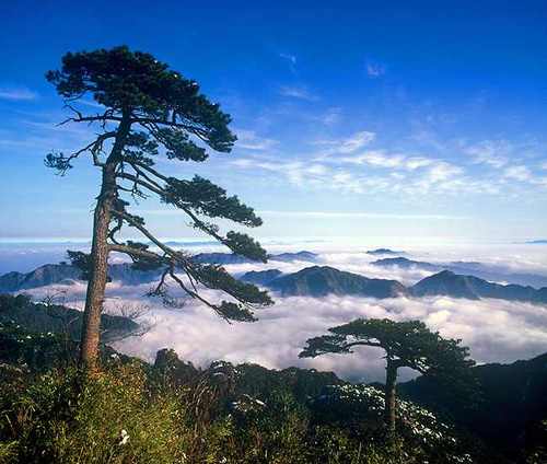 游览三清山