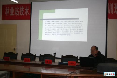 王老师
