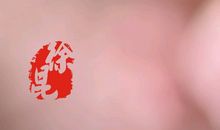 指尖滑过的春天