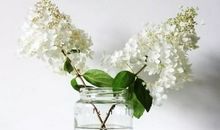 等待是一生中最初的苍老