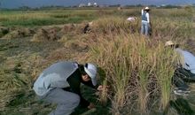 还原刻在我记忆深处的庆元