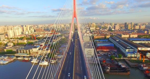 上海市杨浦大桥著名建筑