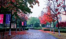 校园的四季景色