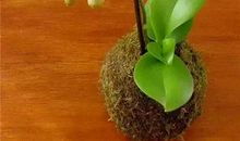 低下头我能看见天