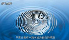 不要让世界的最后一滴水变成我们的眼泪