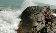 浪花和礁石读后感