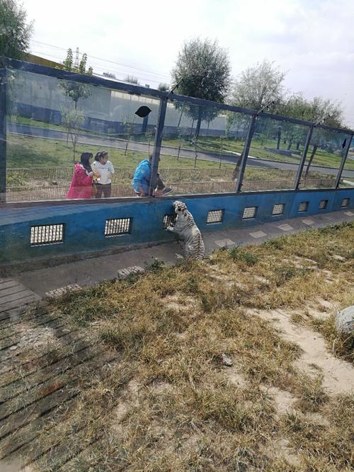 参观德克萨斯动物园和植物园