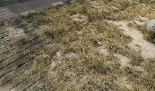 游德州动植物园