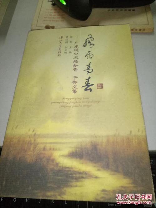 风雨青春
