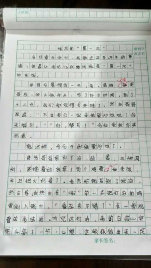 你第一次做了什么作文