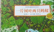 一片树叶两只蚂蚁读后感