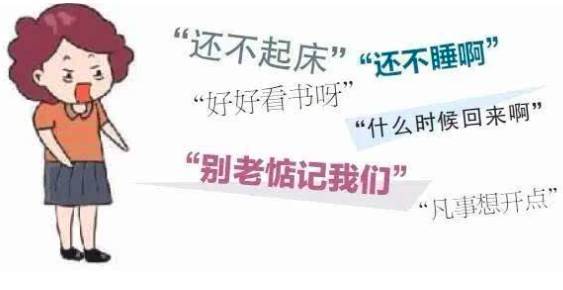 我家的国王