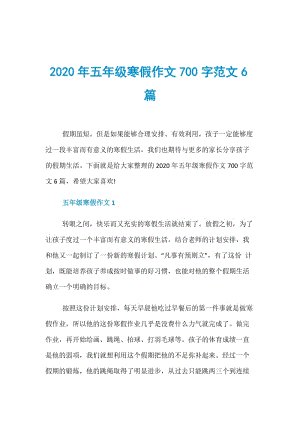 2020不寻常的寒假作文