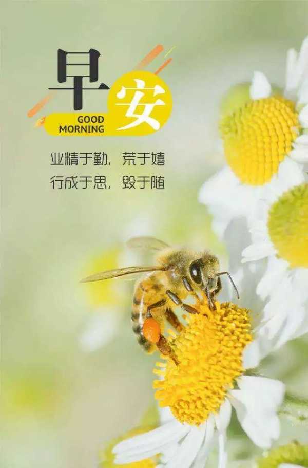 用美丽的心去看世界