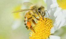 用美好的心灵看世界