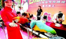 别开生面的嗑瓜子比赛