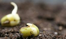 那一年，友情的种子开始发芽