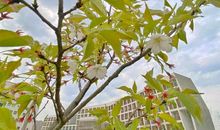 春天，是你给我力量