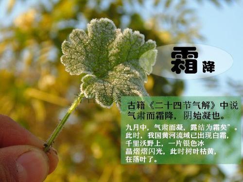 冬季霜