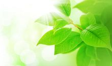 保护环境、节约资源