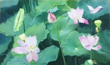 荷滋润了我的心田