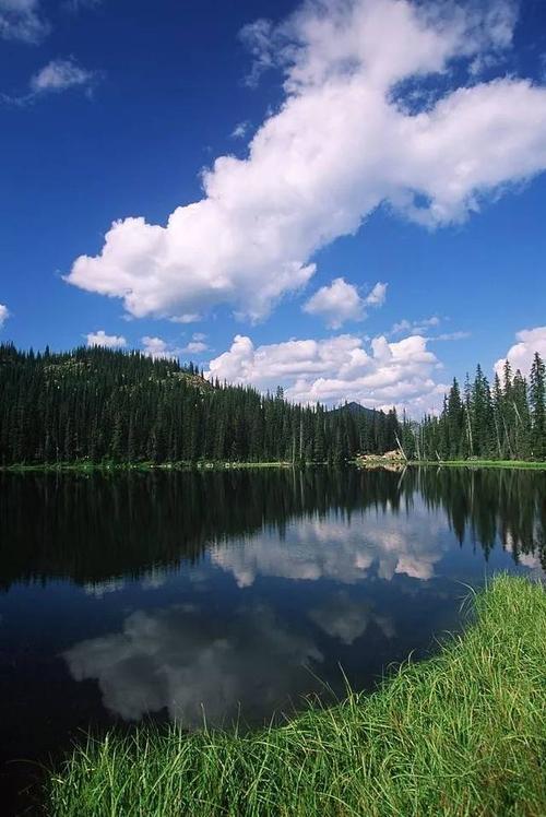 聆听天nature