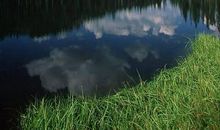 聆听大自然的天籁之音