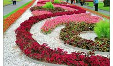 美丽的校园花坛