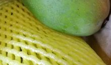 奇妙的芒果种子