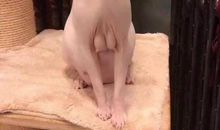 我家里的“姑奶奶”猫