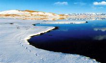 青海我美丽的家乡